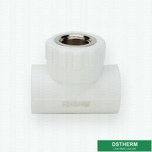 Wholesale Available Technics White Ppr Pipe Accessories Fittings Female Threaded Tee Size Iso9001 from china suppliers