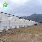 Tropical Agricultural PE Plastic UV Resistant Film Multi Span Greenhouse For