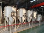1000L Brewery System Conical Fermentation Tank