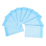 Item Type Puppy Pet Urine Absorbent Pad Competitive Prices for Customer