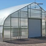 High Quality Economy Single Span Plastic Film Grow Tent Vegetable Greenhouse