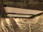 650Watt Seoul 395nm Osram 730nm 4x4 Led Grow Light