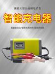 Microprocessor Control Travelscoot Battery Charger CE Input AC 180-220V 50Hz