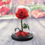 OEM Perfect Valentines Day Gifts Multiple Colours Preserved Everlasting Real