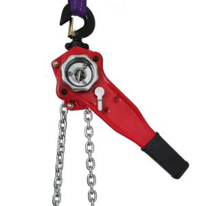 Wholesale EN 13157 Construction Works 9T G80 Manual Chain Hoist from china suppliers