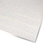 Direct Prices Mineral Wool Ceiling Board with Main Dimensions 300 X 600 X 9 13