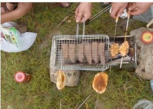 Wholesale Portable Barbecue Grill Wire Mesh , Outdoor Barbecue Grill Netting For Roast Fish from china suppliers