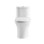 0.8/1.28 GPF Dual Flush Elongated One Piece Toilets Water Efficient