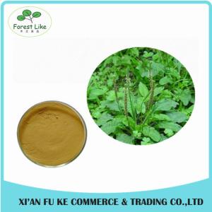 Wholesale Lowest Price Best Quality Plantain Extract for Skin and Cancer from china suppliers