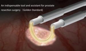 Wholesale Hysteromyomectomy Gynecology Surgery Gyn Probe For Deep Tissue Resection Repair Scars from china suppliers