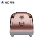 Industrial Mini Laundry Garment Steamer Automatic Shut Off Steam Press Iron
