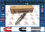 Fuel Injector Assembly 4062569 4928260 4088665 4088725 4954888