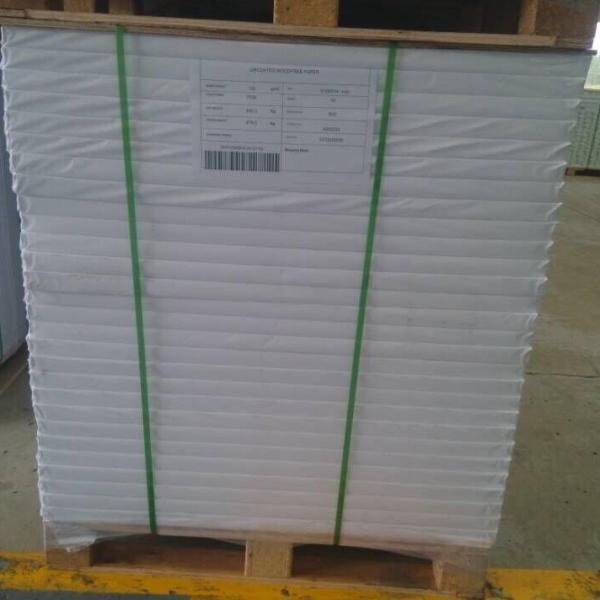 Double Side Coated Kaolinite 300g C1S Art Board for Ream Packaging in Ningbo
