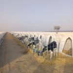 Polyethylene Dairy Calf Hutches Suitable for Calves of All Ages and Sizes 220