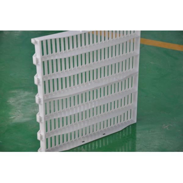 pig plastic slat