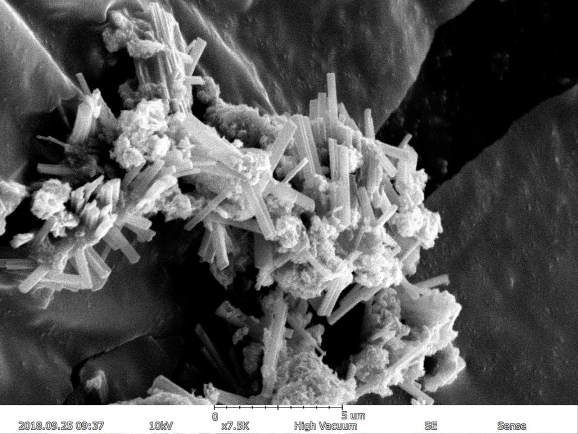 Magnification Max 150000X Scanning Electron Microscope 5nm Resolution EDS BSE