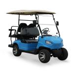 Experience the Best of Golfing with 6.67hp Horsepower and 48V/25A Charger in Our