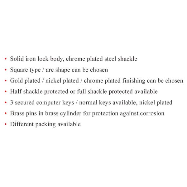 Shackle Protected Computer Padlock All Sizes High Security Padlock Pin Tumbler