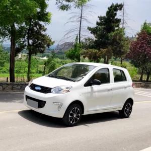 Wholesale Raysince high end quality vehicle electric wholesales cheap price fast electric car for adult from china suppliers