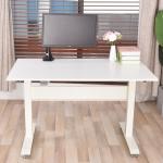 Stainless Steel Frame Nordic Mid Century Wooden Standing Table with Unique
