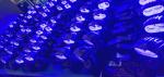 10W Forklift Blue Spot Light Rechargeable Blue Safety Lights Customized For
