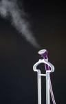 Double Poles Wrinkle Remover Clothes Steamer Purple Color With 2.4 L Water Tank