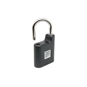 Wholesale Express Box Security Bluetooth Padlock Outdoor 2000Mah Dual Platform Operation from china suppliers