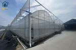 Multi Span Greenhouse Solar Energy Systems For Sustainable Ecofriendly Farming