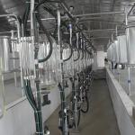 Dairy Farm Cow Goat Milking Parlor Glass Milk Flow Meter HL-G03