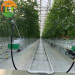 Multi-Span Large Agricultural Greenhouses with Hidroponic System