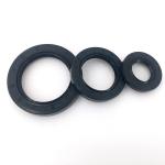 NBR Rubber Wear Resistance FKM Oil Seal For Hydraulic Pump
