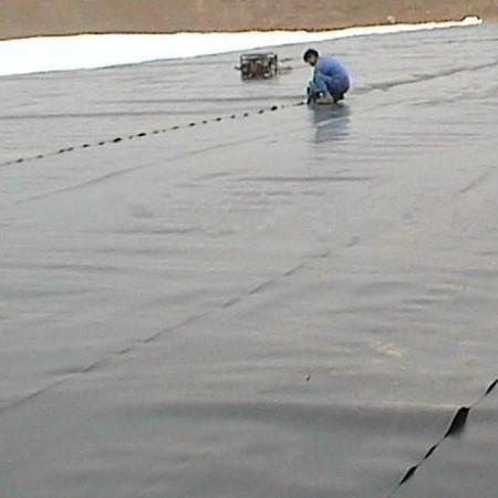 HDPE Fish Shrimp Farm Pond Liner Geomembrane 0.5mm Thickness ASTM GM13 for