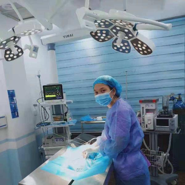 12.1inch Portable Vet Multi-parameter Monitor Yonker VE 12 Monitor Veterinary Multi-parameter 8 Monitor Price