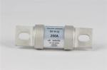 80 Amp High Voltage Fuses , 1000VDC EV Charger Protecion Fuse