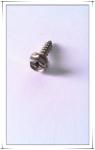 SWRCH-22A Hexagon slotted head special self- tapping screw