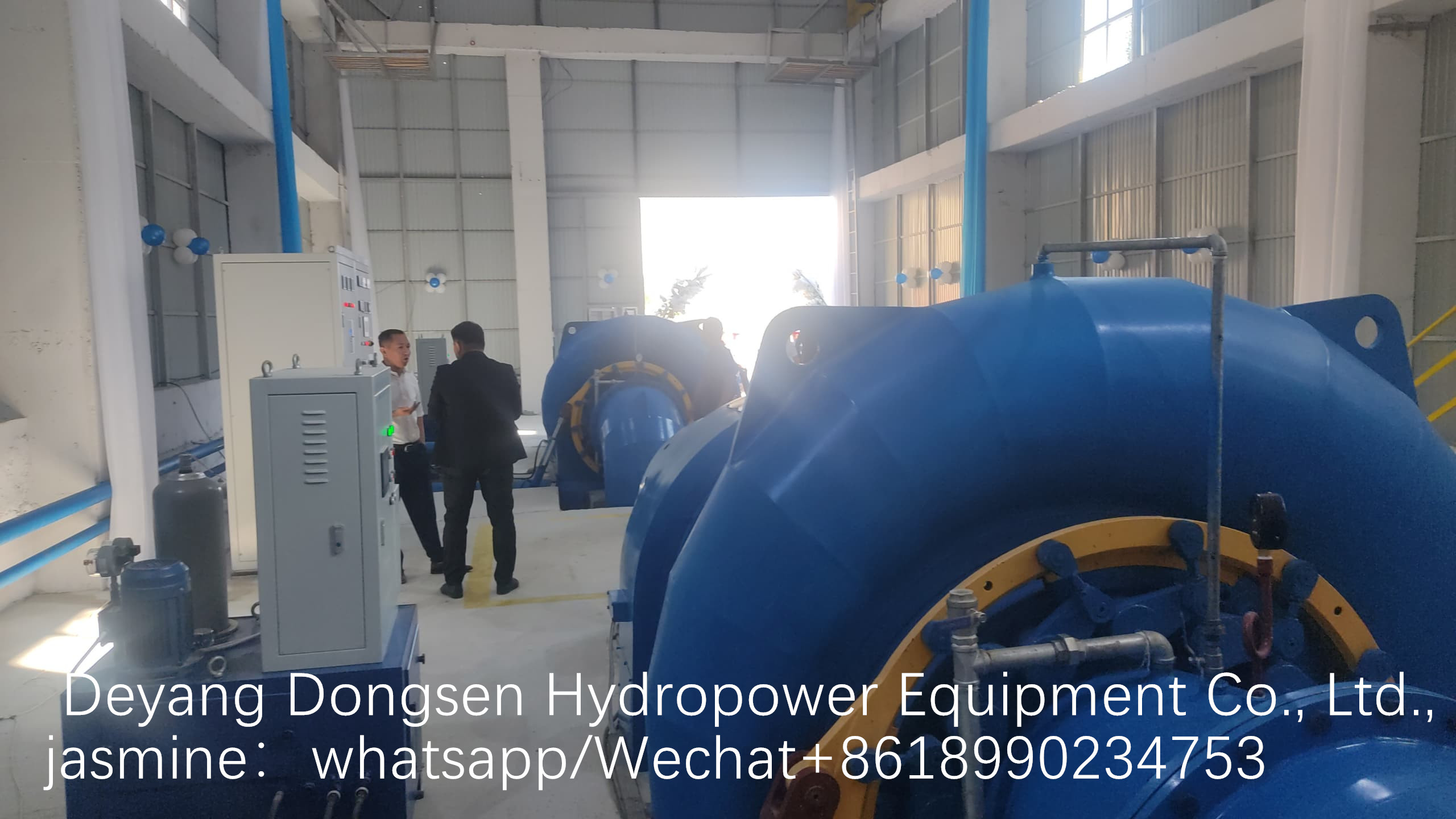 400V 800V 6.3kV 10kV Rated Voltage Stainless Steel Runner Francis Turbine Generator