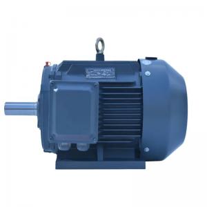 Wholesale High Voltage 3 Phase Slip Ring Induction Motor 30KW 45KW 55KW 75KW 90KW 110KW from china suppliers