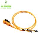 CTS Industrial Wiring Harness for Motorcycle Auto Electric Vehicle High Voltage