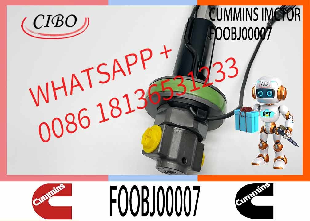 K19 KTA19 QSK19 CM850 fuel injection pump fuel injector FO0BJ60578 4918073 4955524 2882077 4964173 4964172 FOOBJ00007
