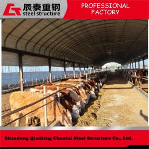 Wholesale Prefab Customized Steel Structure Poultry House For Efficient / Hygienic Bird Rearing from china suppliers