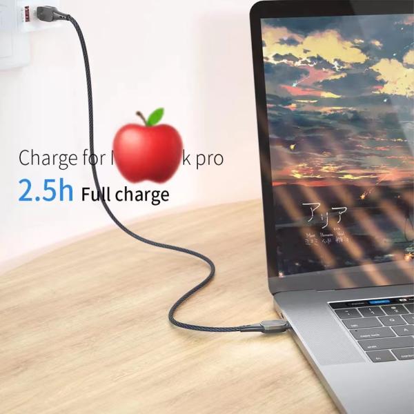 Quick Charge USB C To C Mobile Charging Cable 20V/3A Max For Multimedia