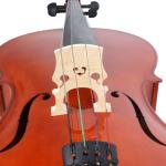 Antique Color Plywood Cello (N-C09)Advanced Handmade Natural Flame Maple Cello