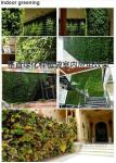 Wall Hanging Planter Bags 25 Pockets Wall-mounted Growing Bags for Indoor