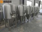 2 Bars Beer Fermentation Tanks Stainless Steel Material Double Jacket
