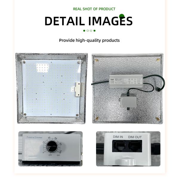 ANDY Quantum Board Grow Light 100W 150W 300w Full Spectrum LED Grow Light