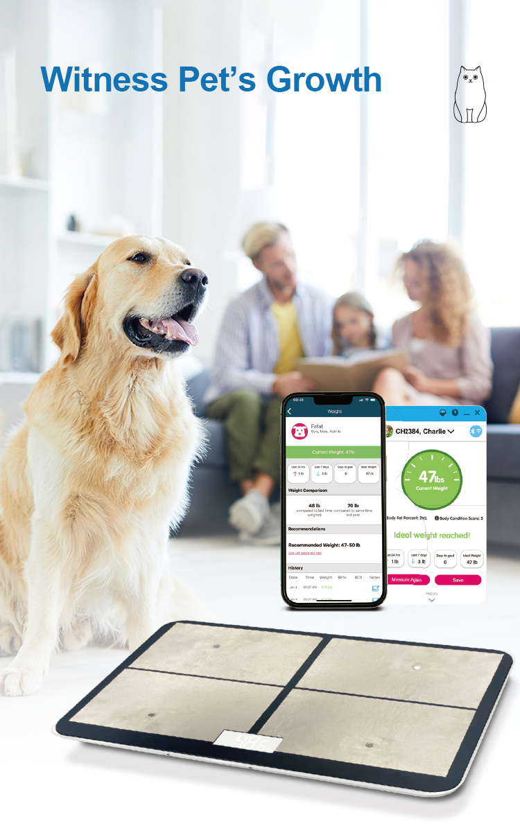 Smart Pet Fat Scale Digital Pet Weighing Scale Maximum Weight Recommendation 30kg Health Scale for Cats and Dogs