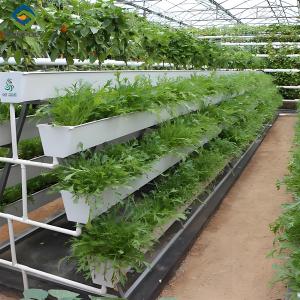 Wholesale Agricultural NFT Vertical Growing Greenhouse Soilless Greenhouse Multi Span from china suppliers