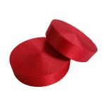 Red 2.5cm Nylon Webbing Canvas Woven 25mm Nylon Strap Non Elastic