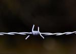 Use Of Prison Walls Double Strand Traditional Twist Electro Barbed Wire Coils