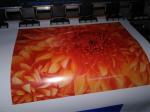 Flad manufacturer wholesale Self Adhesive Vinyl for Car Wrapping
